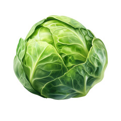 Fresh Brussels Sprout: A close-up studio shot captures a single, vibrant Brussels sprout, showcasing its intricate textures and rich green hues