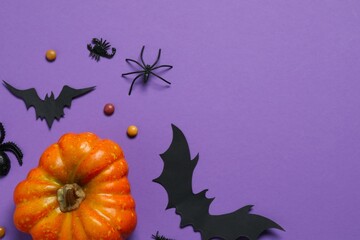 Halloween holiday decorations including pumpkins, spiders, bats on color background
