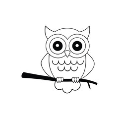 owl   coloring book