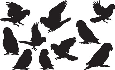 Lovebird Silhouettes