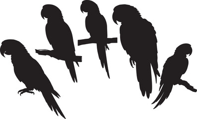 Macaw Side View Silhouette