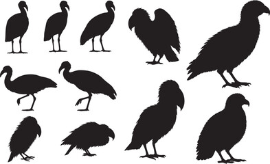 Megapode Silhouettes