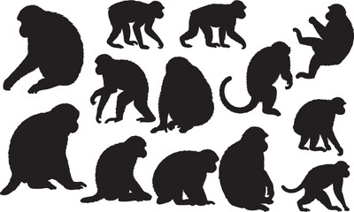 Monkey Silhouette Set