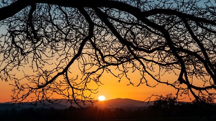 Silhouetted tree branches framing the sky as the sun dips behind distant hills.