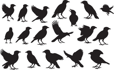 Obraz premium Myna Silhouettes