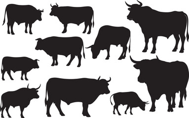 Ox Silhouette on White Background