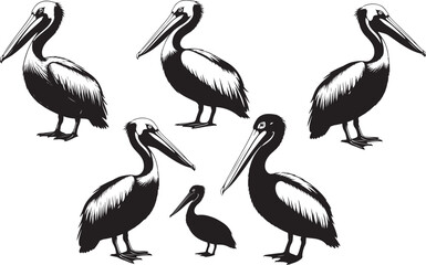 Pelican Side View Silhouette