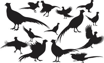 Pheasant Silhouettes