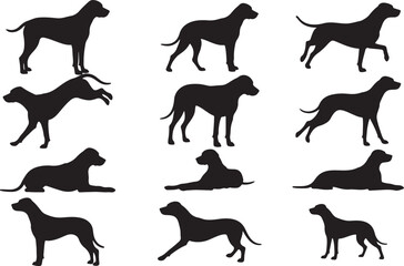 Rhodesian Ridgeback Silhouette on White Background