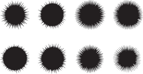 Sea Urchin Silhouettes