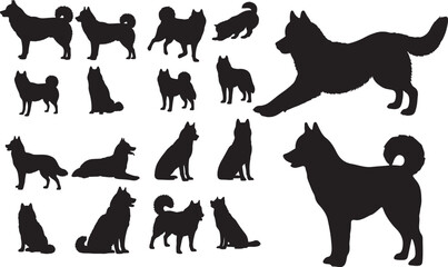 Siberian Husky Silhouette on White Background