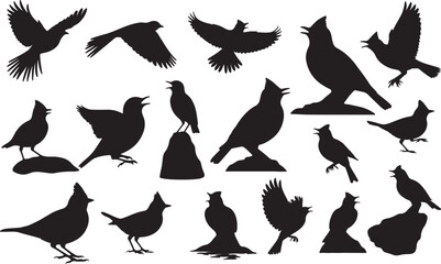 Skylark Silhouettes