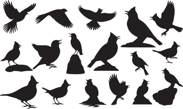 Skylark Silhouettes