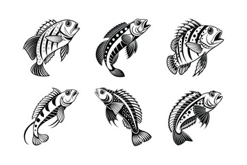 Gilded Blenny silhouette vector illustration