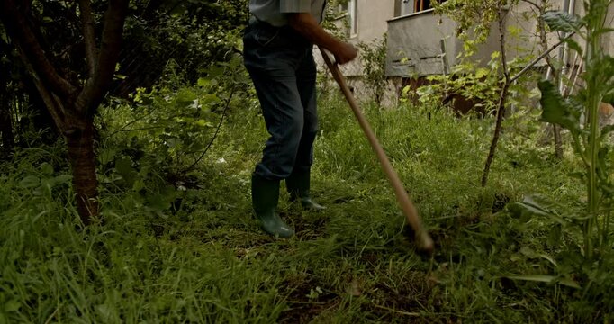 An elderly man is using a scythe to cut weeds and grass in his backyard garden. He wears blue jeans, a light blue and white shirt, and rubber boots.