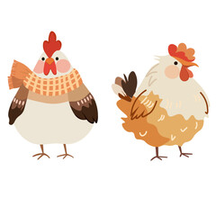 two domestic birds roosters without background