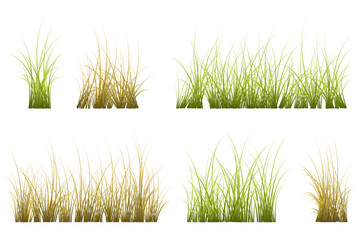 log thin grass vector set
