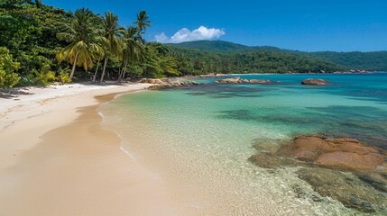 Serene Tropical Beach with Crystal Clear Water and Palm Trees
