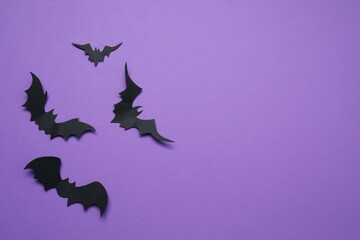 Black bats on a color background. Halloween concept
