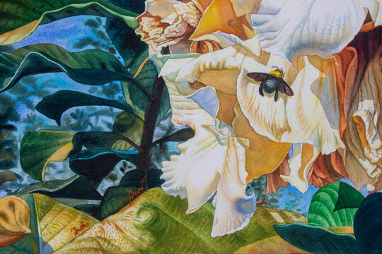 Close-up view White Flowers, Insects; ants. Watercolor landscape paintings original colorful of white Herald trumpet flowers