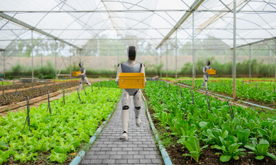 Robot assistant harvest in farm © phonlamaiphoto