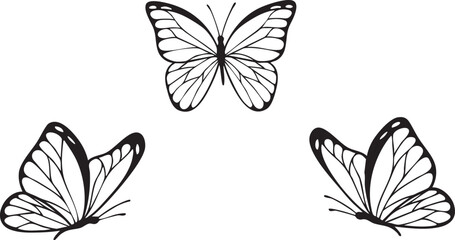Set of Silhouette butterflies isolated vector line art	