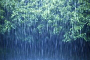Gentle Rainfall Over Lush Green Foliage Creating Serene Atmosphere