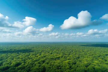 Fototapeta premium Expansive lush greenery stretches beneath bright blue sky, showc