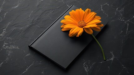 A minimalist book cover mockup, featuring a sleek, dark background and a single, vibrant orange flower, promising a captivating narrative within its pages.
