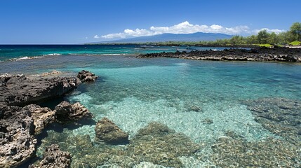 Clear Turquoise Ocean Water Surrounding Dark Rocks on Sunny Tropical Beach