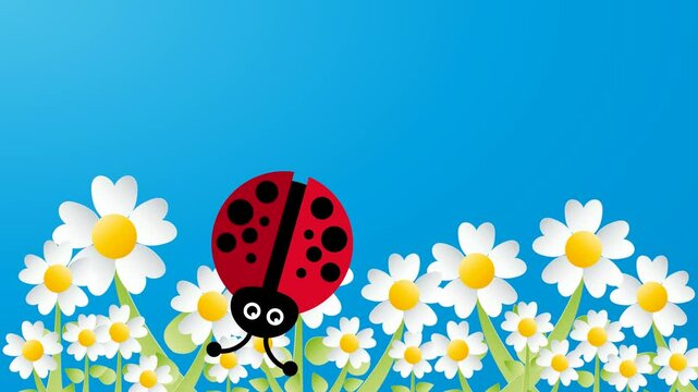 Cartoon ladybug flying over white daisies with blue sky background, spring concept.
