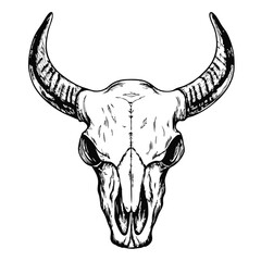 sketch of a buffalo skull, showcasing detailed line work and natural textures. Ideal for wildlife, rustic, and Native American-themed designs, tattoos, and artwork.