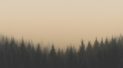 Obraz premium Forest's edge with fog in monochrome