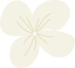 Hydrangea Flower Hand Drawn