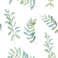 Watercolor seamless pattern. Organic herbal print with eucalyptus branches. Greenery hand drawn illustration on white background.