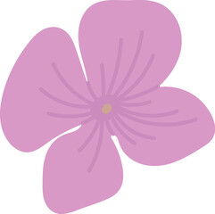 Hydrangea Flower Hand Drawn