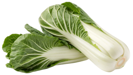 Two fresh Chinese cabbage (bok choy) stack irregularly, featuring crisp, vibrant green leaves and firm, smooth white stalks isolated on white background. Suitable for marketing or business purposes