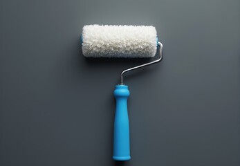 Overhead View of Paint Roller with Blue Handle