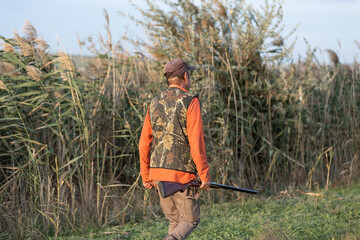 Mature hunter man holding a shotgun and walking through a field
