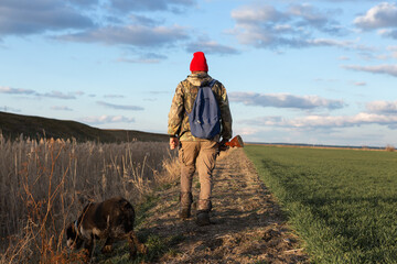 Mature hunter man holding a shotgun and walking through a field