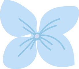 Hydrangea Flower Hand Drawn