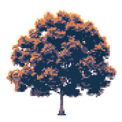 Tree in autumn