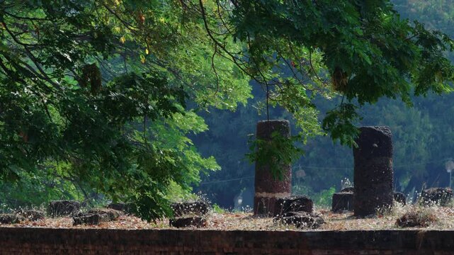 Old pillars at a khmer temple ruins covered by canopy of three with sunny natural park in the background.