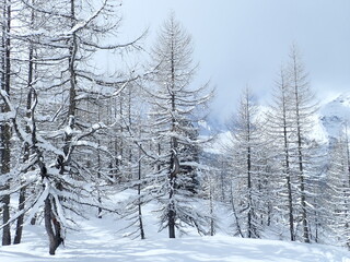 skitouring destination rauris valley in winter