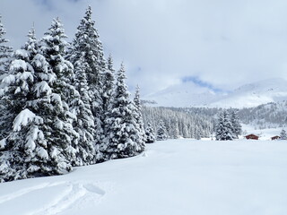 skitouring destination rauris valley in winter