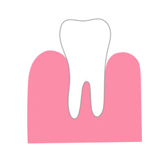 Simple minimal illustration of tooth and gum