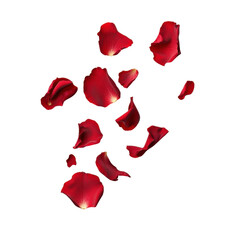 Floating Crimson Petals: Captivating view of red rose petals gently falling, conveying romance and beauty.