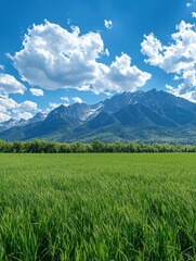 Fototapeta premium Serene vista of lush green field meeting the majestic mountain range under a bright blue sky with fluffy clouds