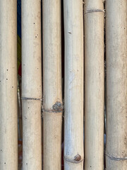 A close-up view of several bamboo stalks, showcasing their natural texture, color, and arrangement.