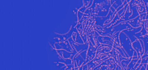 Probiotics, lactic acid bacteria. Algae, bacteria and microorganisms. Microscopic probiotics, bacterial flora